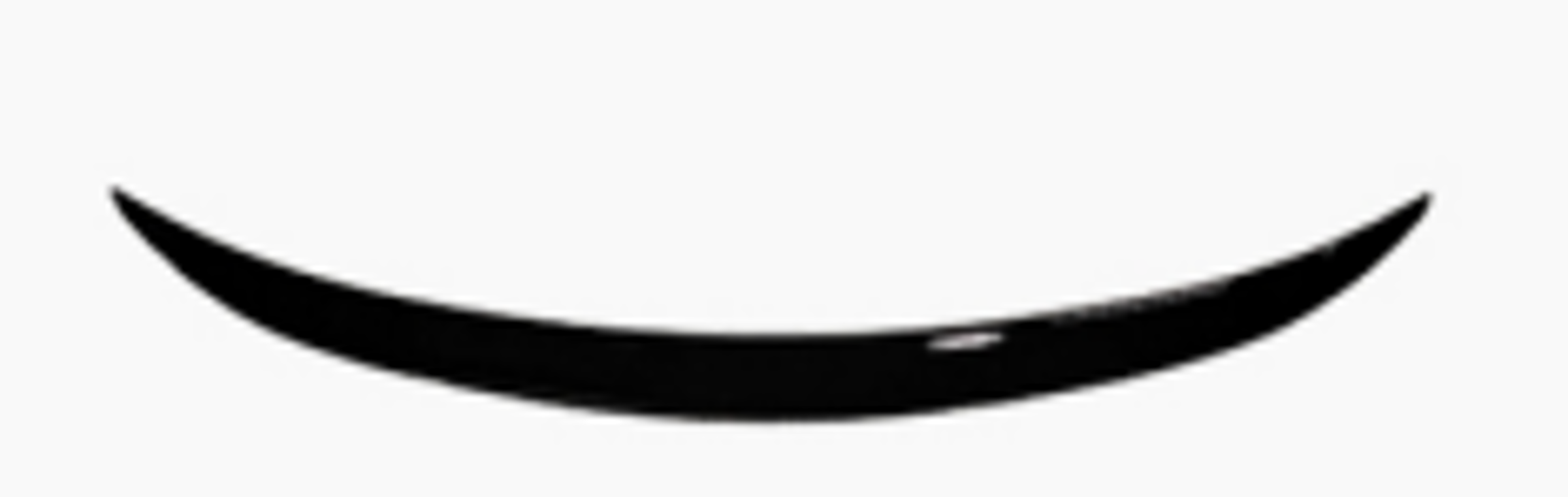 უკანა სპოილერი